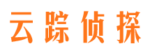 大新侦探公司